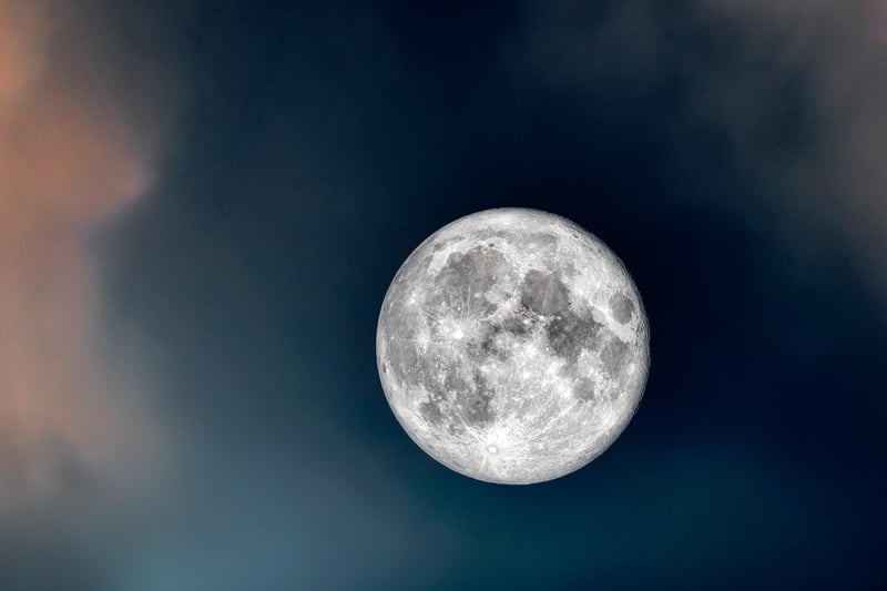 Moonlight Elixir